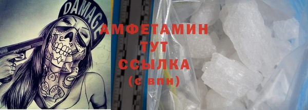 трава Аркадак
